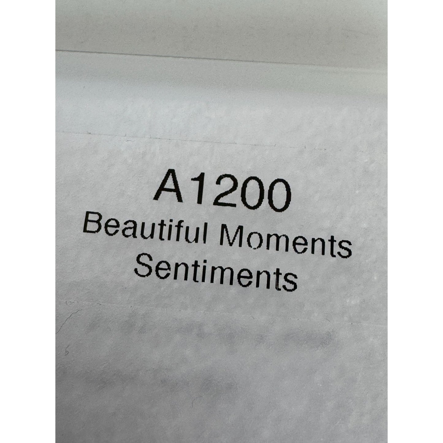 CTMH My Acrylix Acrylic Stamp Beautiful Moments Sentiments Inspire Words A1200