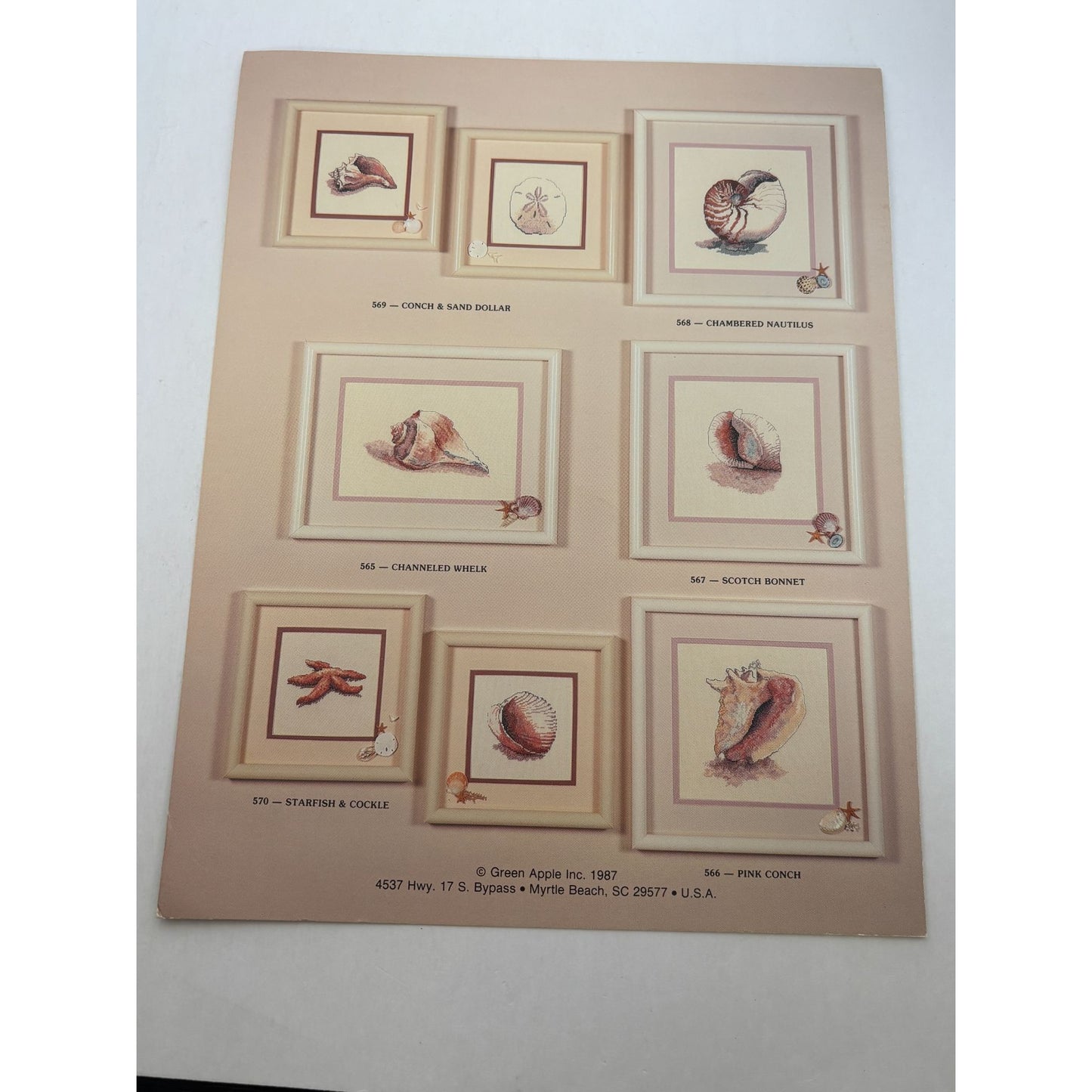 Green Apple Cross Stitch Pattern Channeled Whelk Sea Shell Jewels of the Sea 565