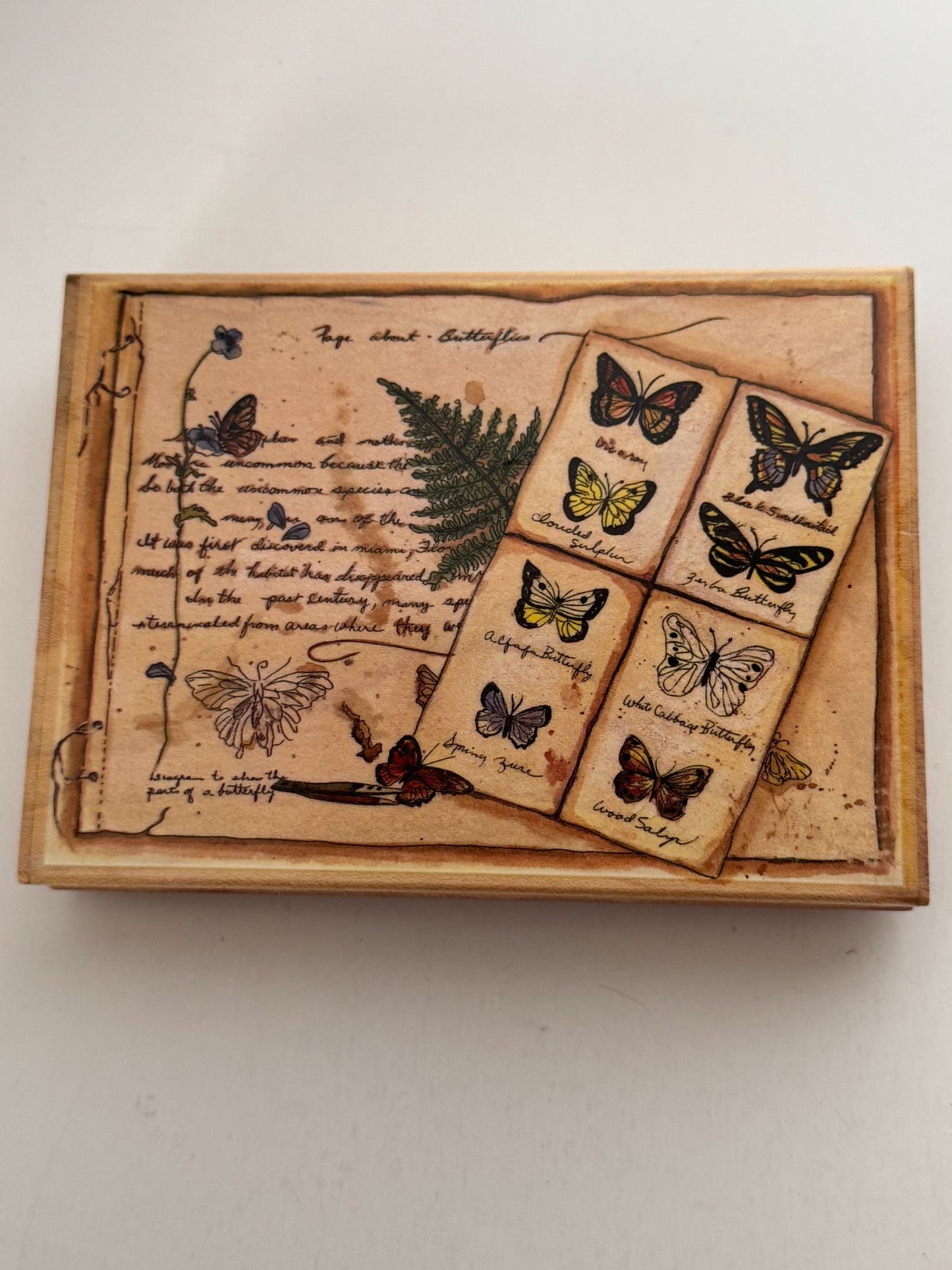 Stamps Happen Rubber Stamp Page about Butterflies Butterfly Large Peggy Abrams