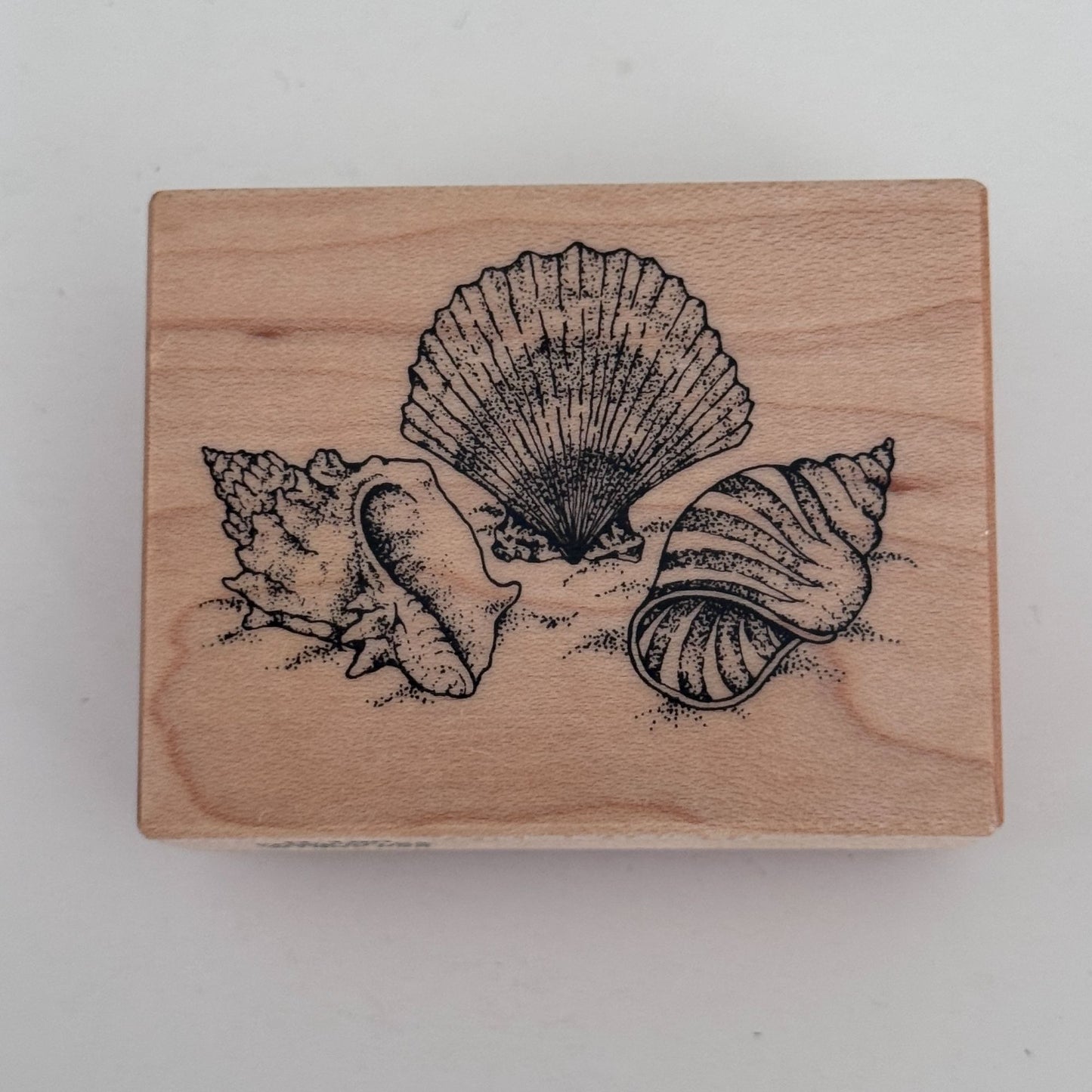 PSX Rubber Stamp Seashells Beach Vacation Summer Conch Shell Trio Seashore D-190 Coastal Nautical