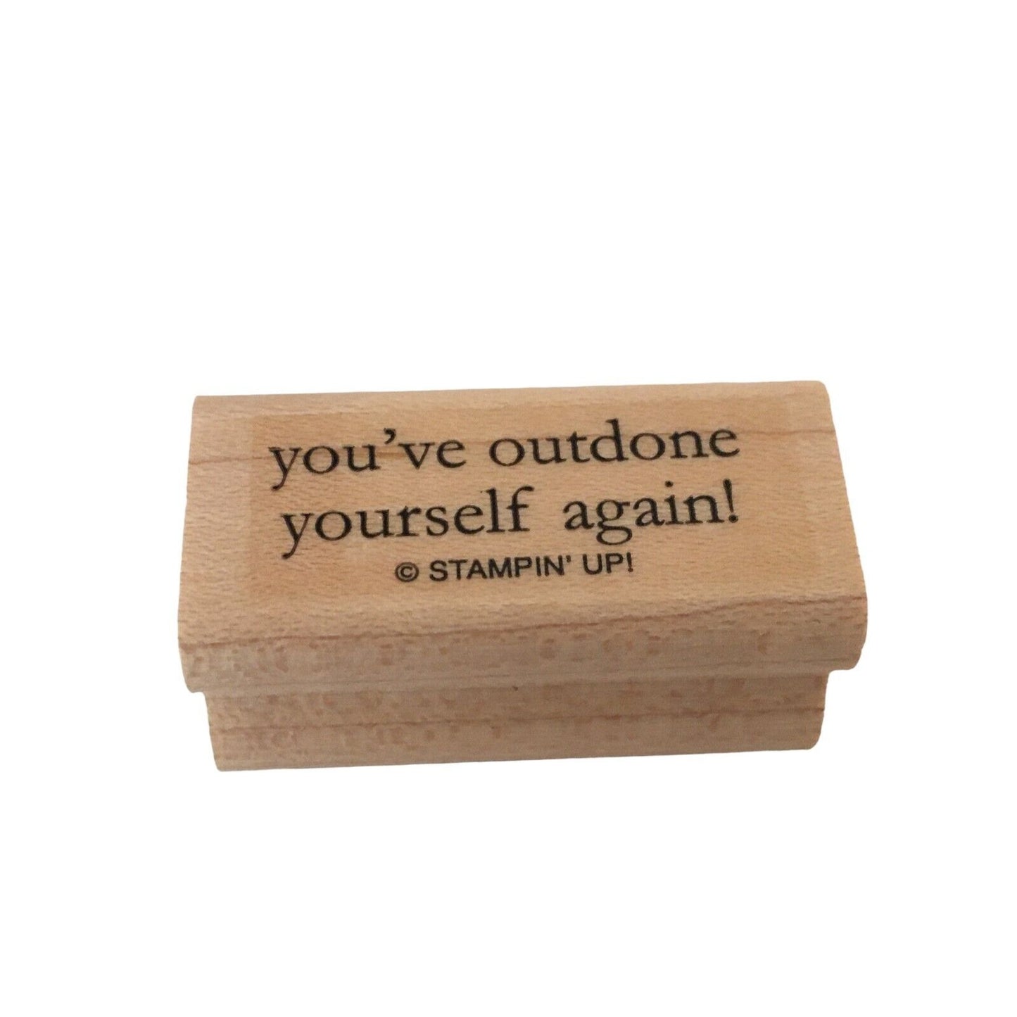 Stampin Up Rubber Stamp You've Outdone Yourself Again Card Sentiment Phrases