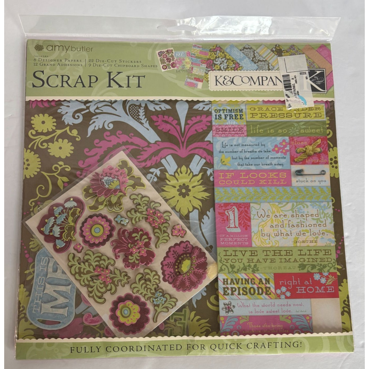 Amy Butler Scrap Kit by K&Company Scrapbooking Paper Sticker Layouts Card Making