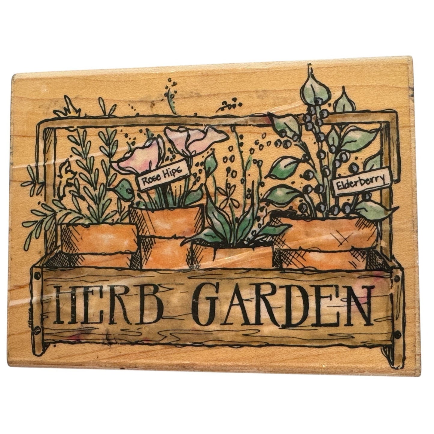 Penny Black Rubber Stamp Herb Garden Summer Cooking Rose Hips Elderberry Plants