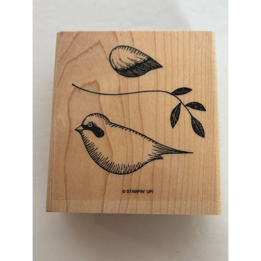 Stampin Up Rubber Stamp Set Birds Language Of Friendship Quotation Card Making