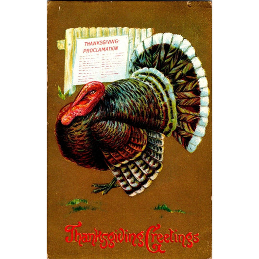 1910 Embossed Thanksgiving Postcard NJ Postmark Divided Back Turkey Proclamation