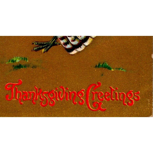 1910 Embossed Thanksgiving Postcard NJ Postmark Divided Back Turkey Proclamation