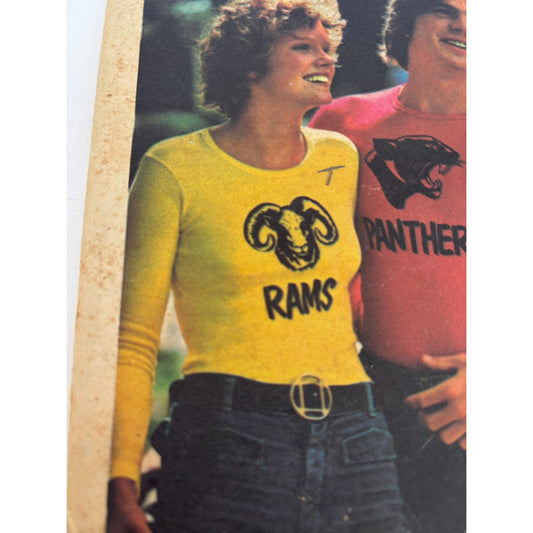 Butterick 4627 Vintage Hot Iron Transfers Sports Teams Mascots Animal Eagles Cut