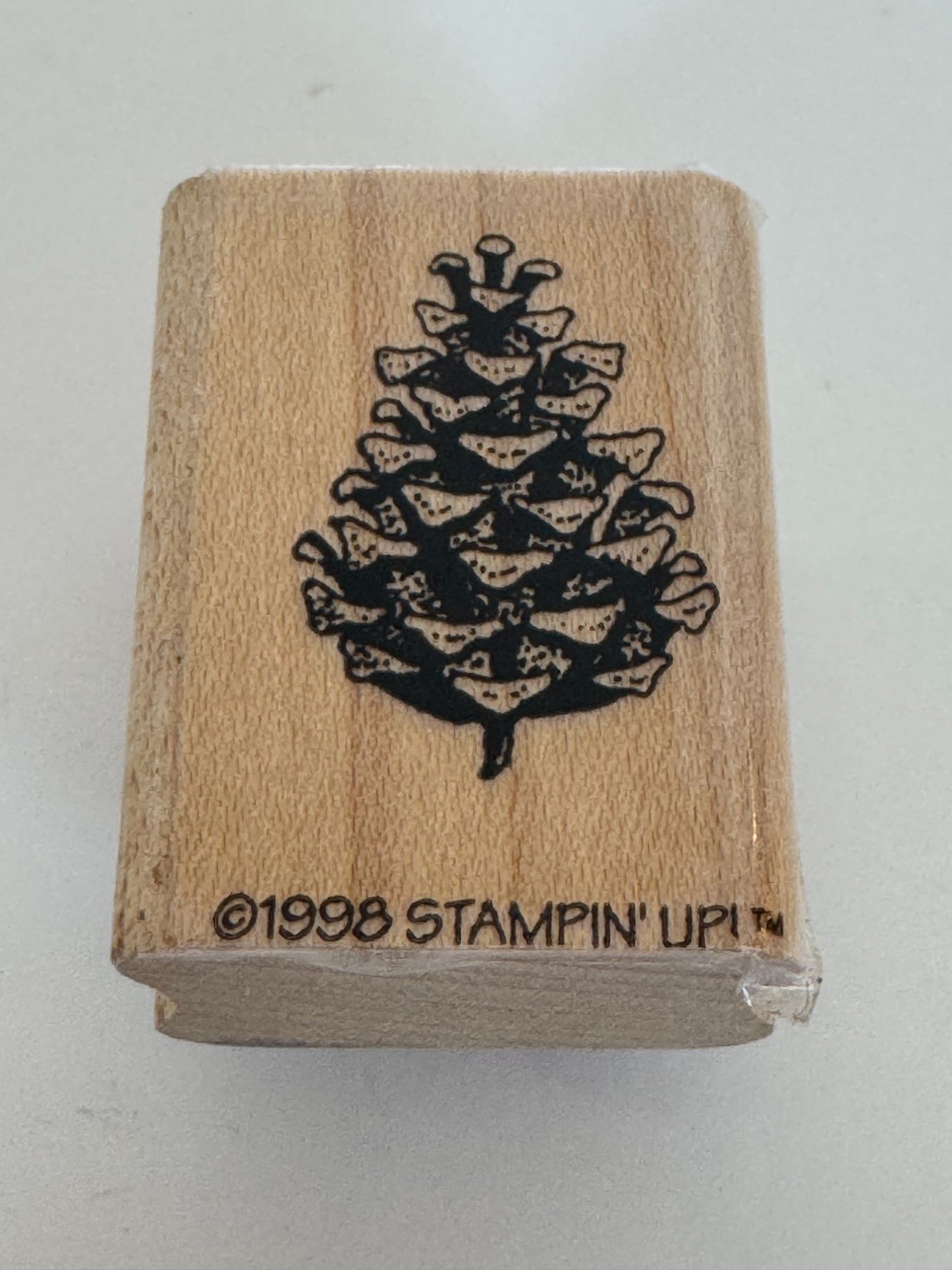 Stampin Up Rubber Stamp Pinecone Christmas Card Making Small Nature Holidays