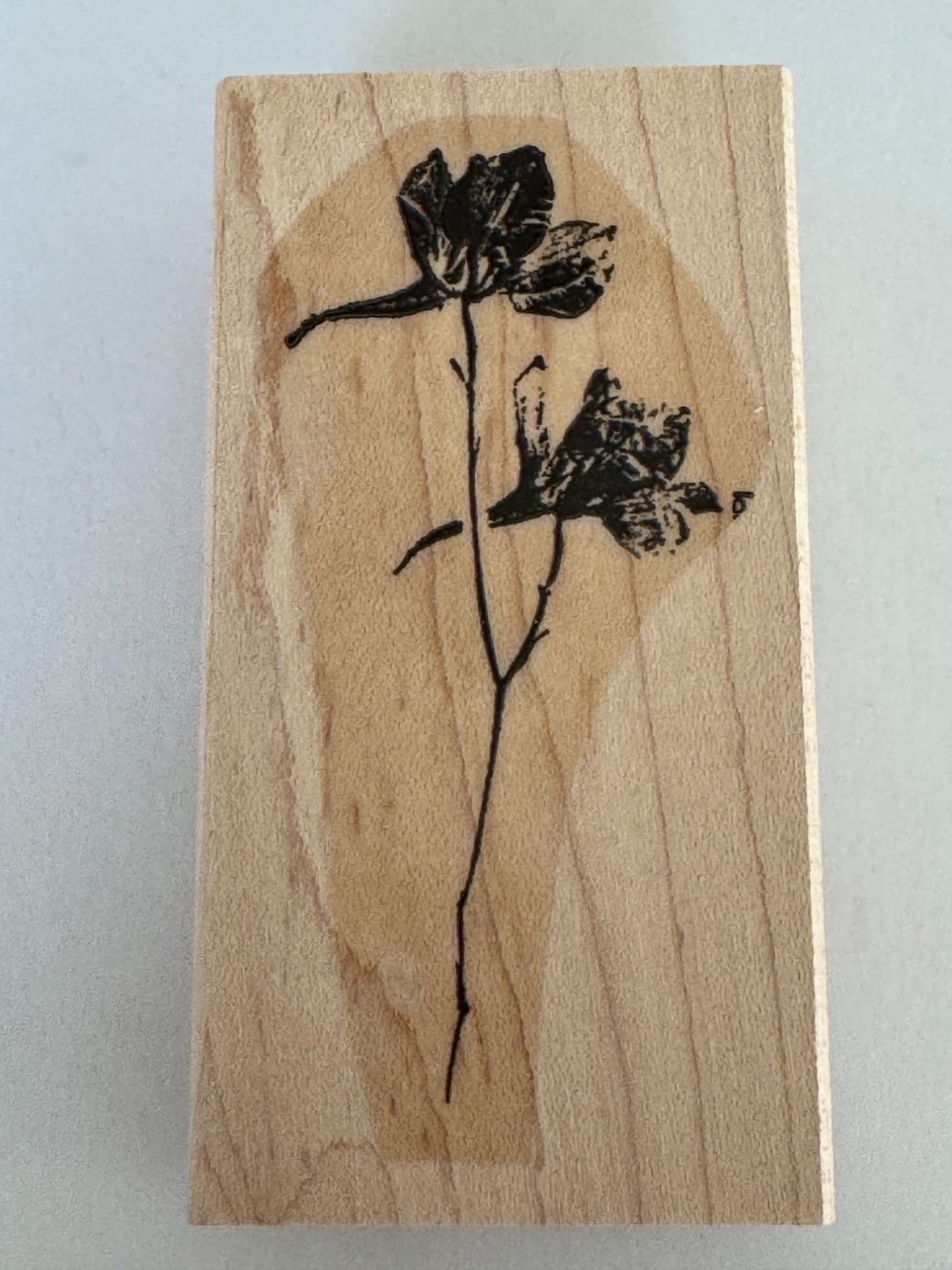 Stampin Up Rubber Stamp Iris Watercolor Flower Sketch Card Making Vertical Craft
