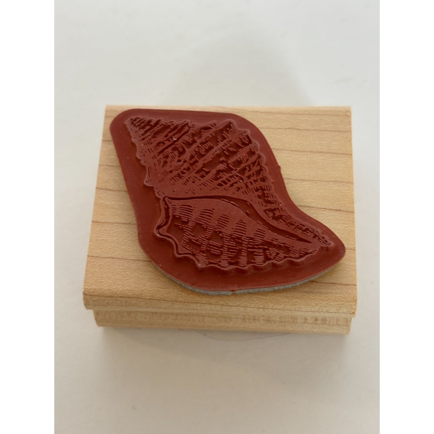Stampin Up Rubber Stamp Conch Shell Sea Life Ocean Life Card Making