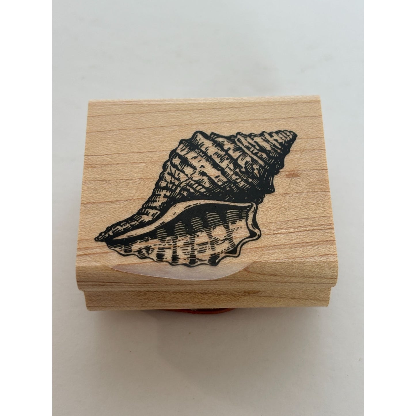 Stampin Up Rubber Stamp Conch Shell Sea Life Ocean Life Card Making