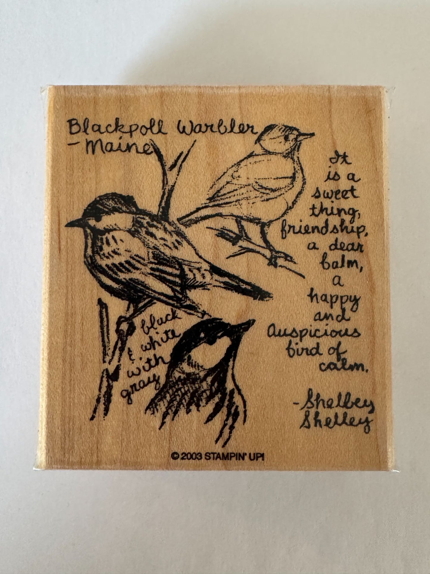 Stampin Up Rubber Stamp Blackpoll Warbler Bird Maine Friendship Card Making Word