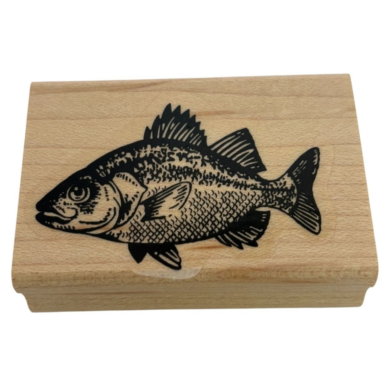 Stampin Up Rubber Stamp Fish Ocean Life Sealife