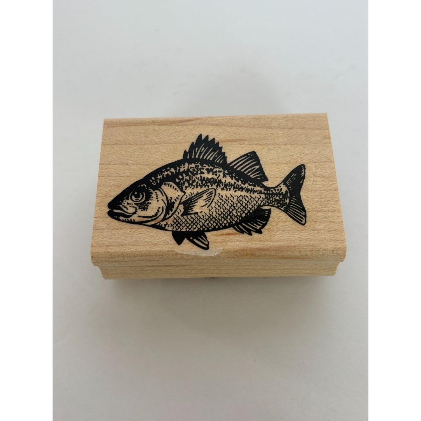 Stampin Up Rubber Stamp Fish Ocean Life Sealife
