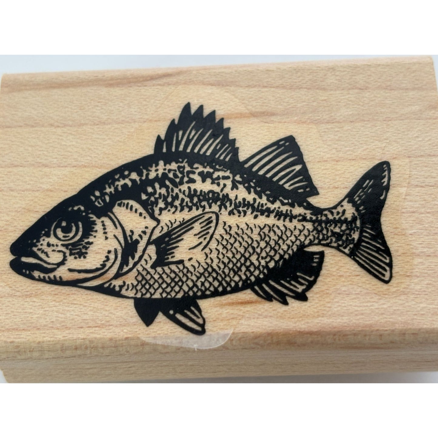 Stampin Up Rubber Stamp Fish Ocean Life Sealife