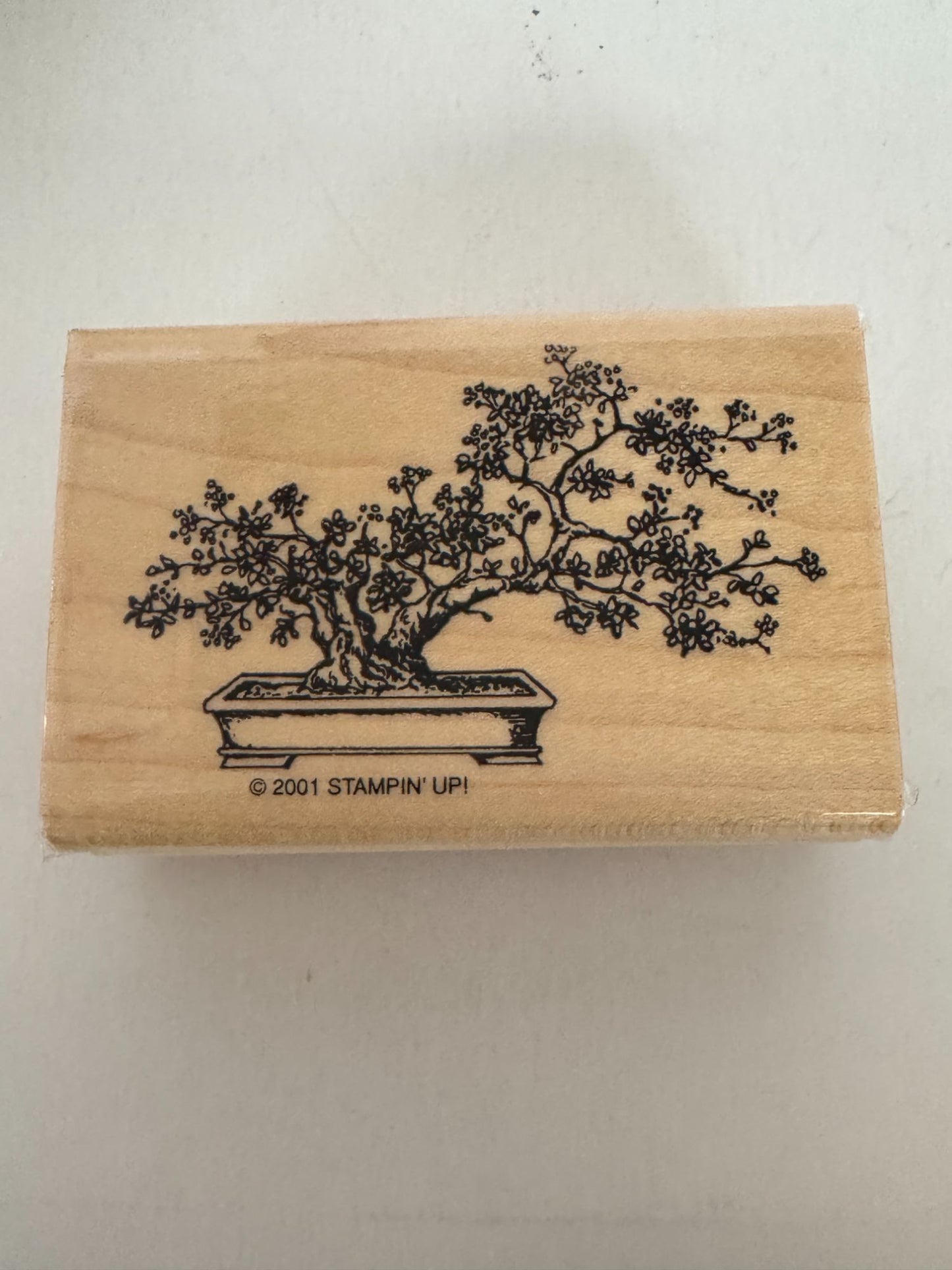 Stampin Up Rubber Stamp Bonsai Tree Asian Plant Cherry Blossom Card Making Craft