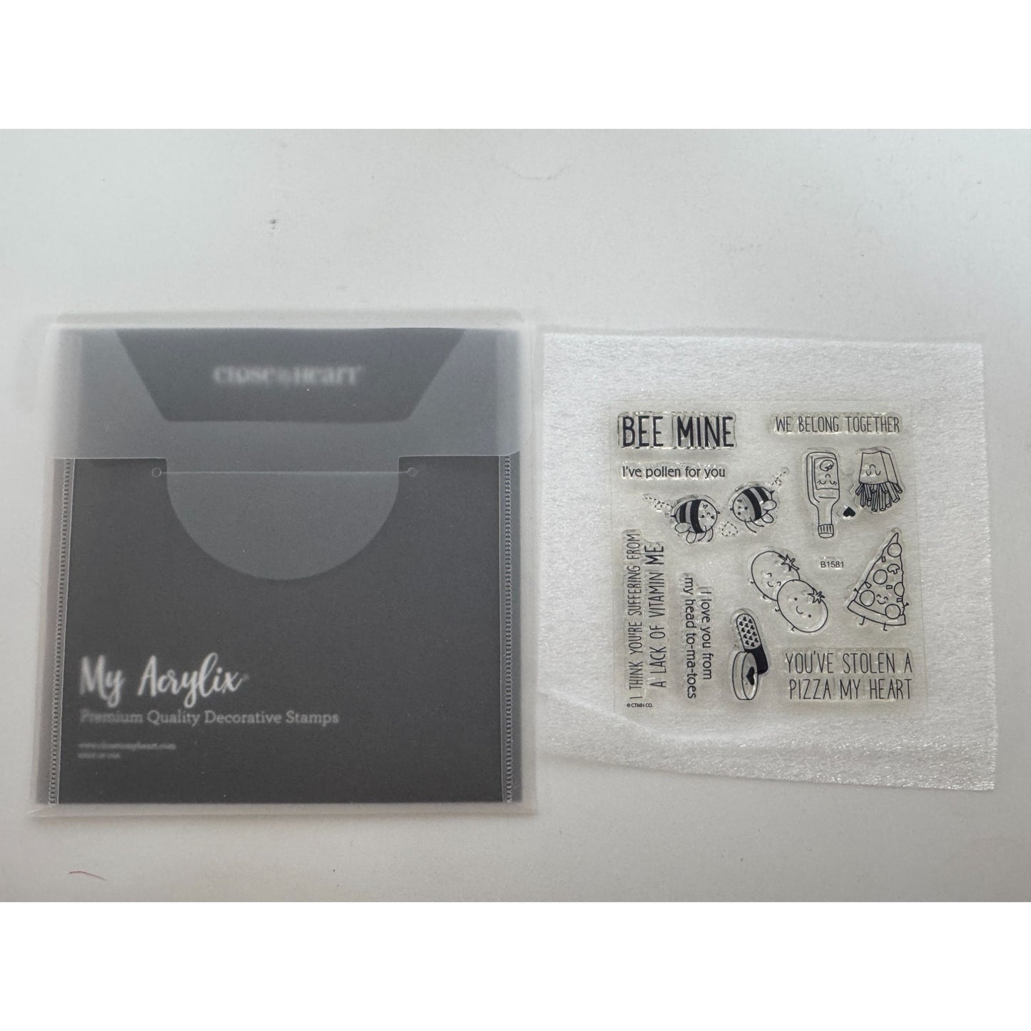 CTMH My Acrylix Acrylic Stamp Set We Belong Together Pizza Pun Vitamin Me Bees