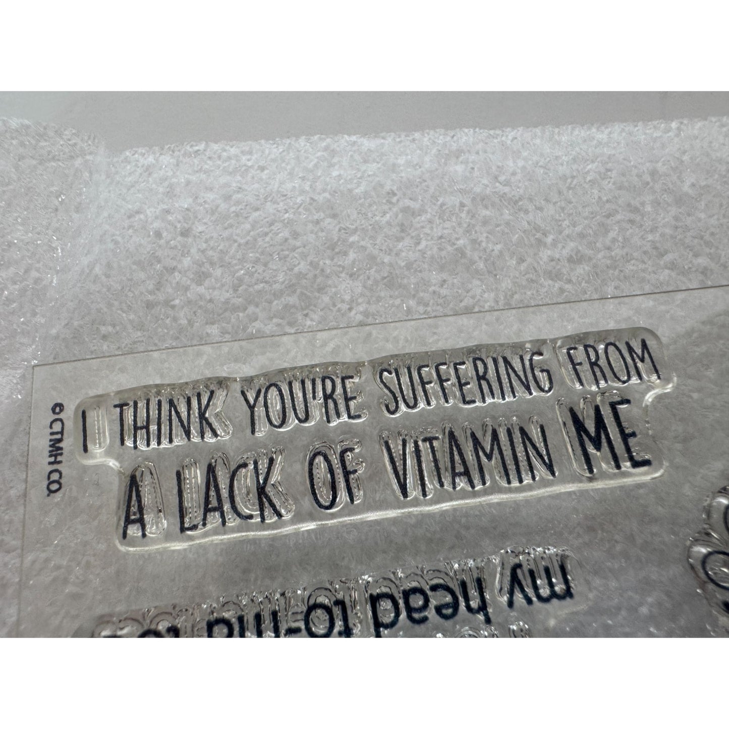 CTMH My Acrylix Acrylic Stamp Set We Belong Together Pizza Pun Vitamin Me Bees