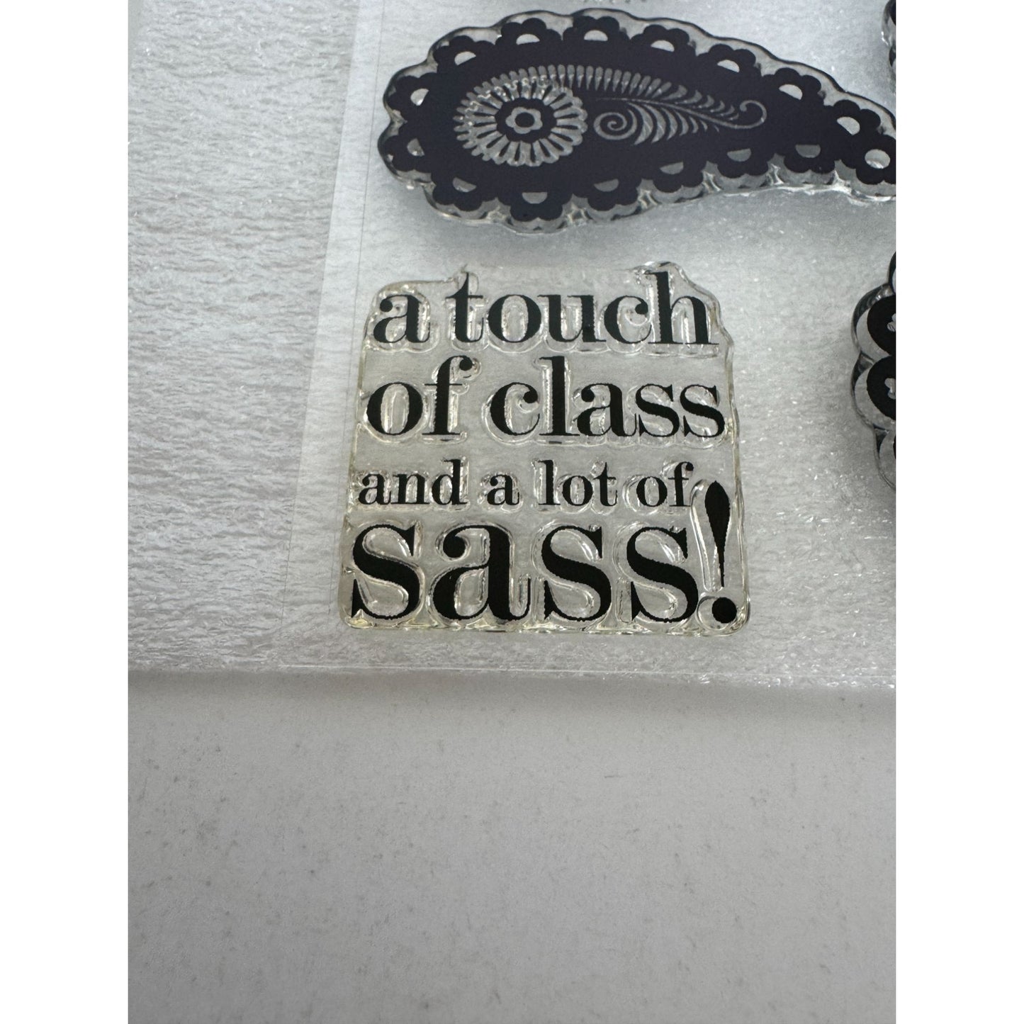 CTMH My Acrylix Acrylic Stamp Set Paisley Perfect Flair Motifs Sass C1556