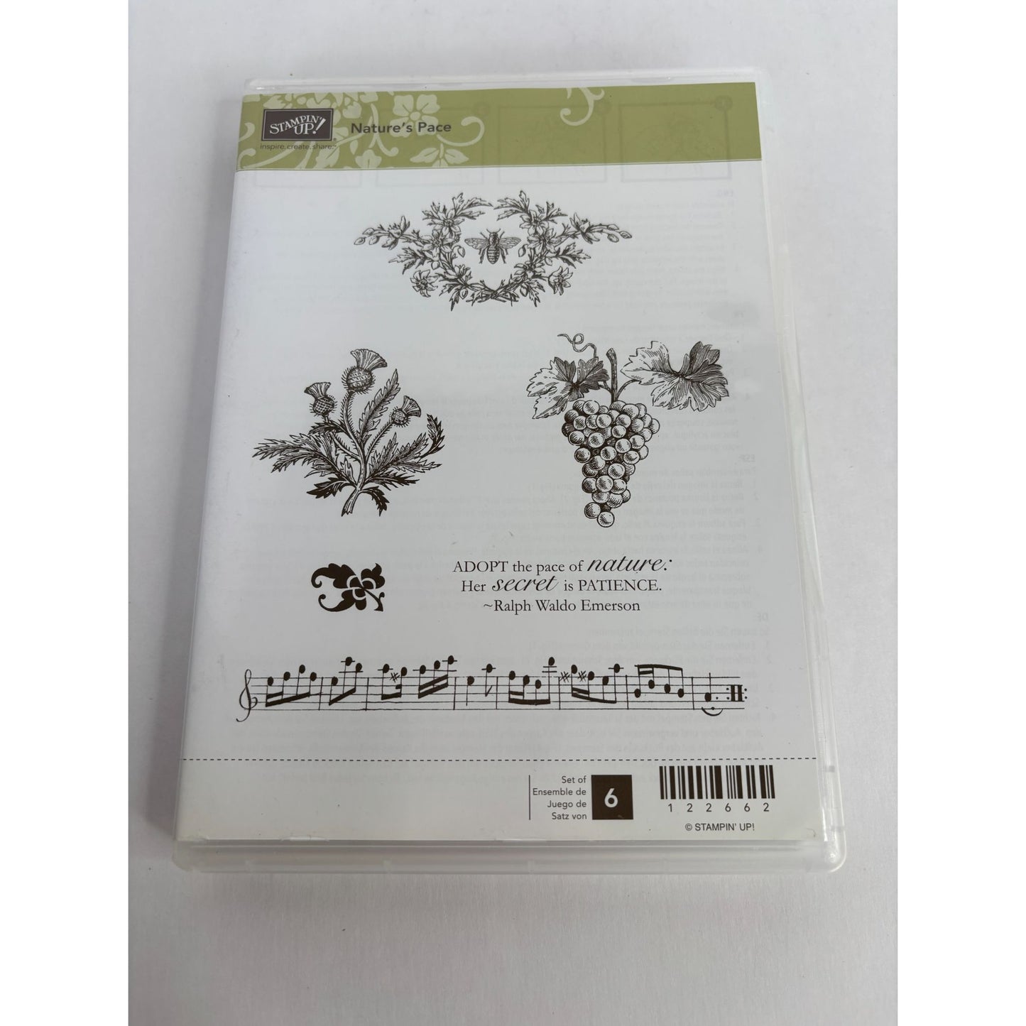 Stampin Up Natures Pace Clear Mount Rubber Stamps Grapes Music Border Bee Set 6