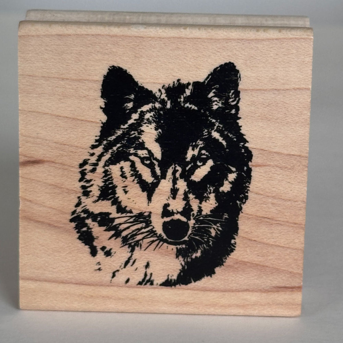 Stampabilities Rubber Stamp Wolf Head Wildlife Animal Rustic Woodland Nature Fathers Day Cardmaking