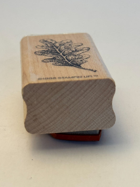 Stampin Up! Rubber Stamp Oak Leaf with Veins Nature Outdoors Fall Card Making