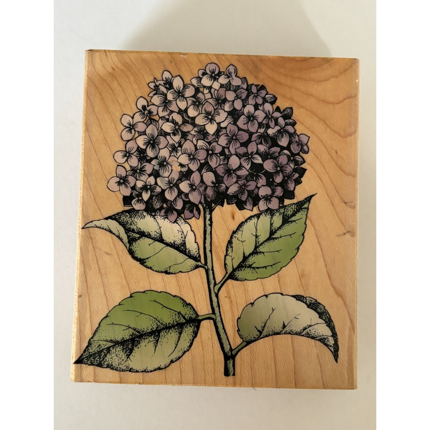 Hero Arts Rubber Stamp Hydrangea Bloom with Leaves Spring Garden Cardmaking Big