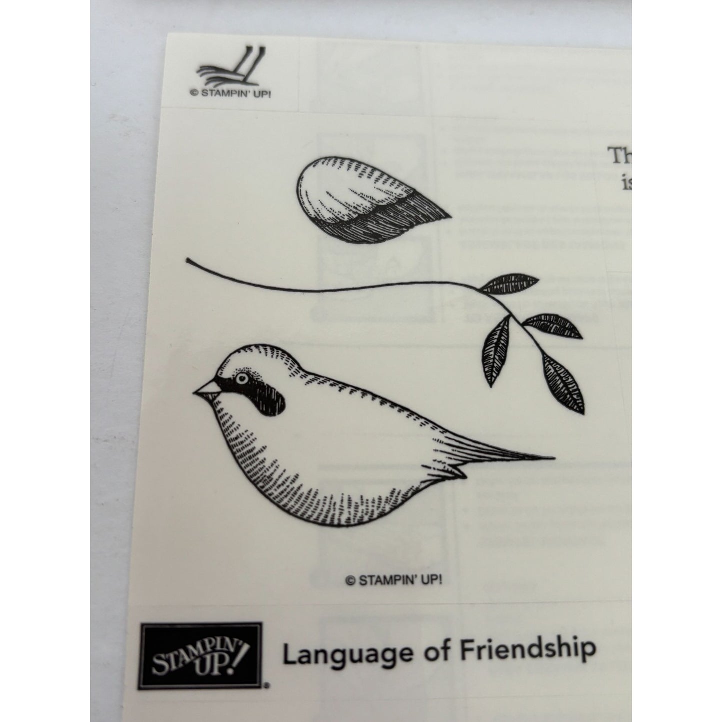 Stampin Up Rubber Stamp Set Language Of Friendship Bird Wing Quote Card Making