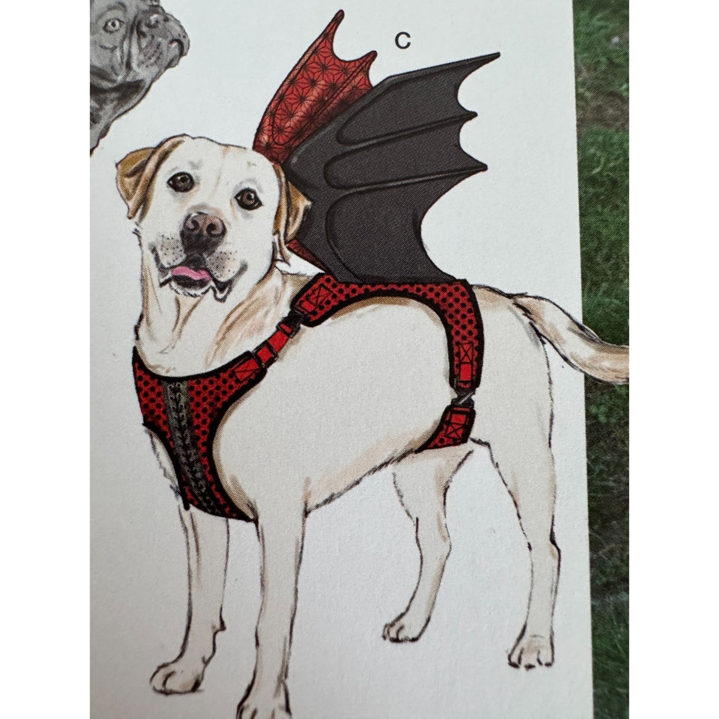 Simplicity Sewing Pattern S9875 Pet Dog Costume Butterfly Dragon Wings Halloween