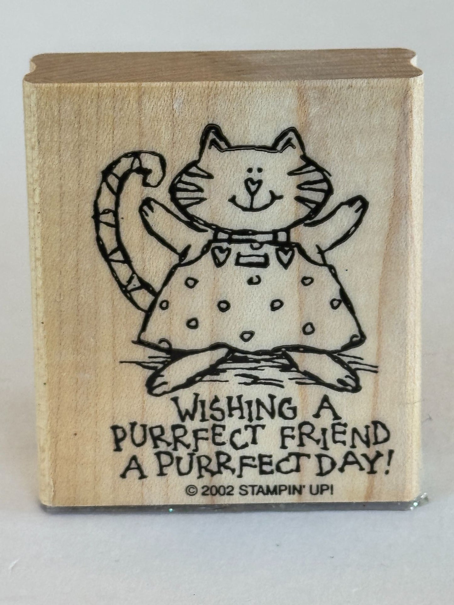 Stampin Up Rubber Stamp Wishing A Purrfect Day Friendship Cat Perfect Pun Words