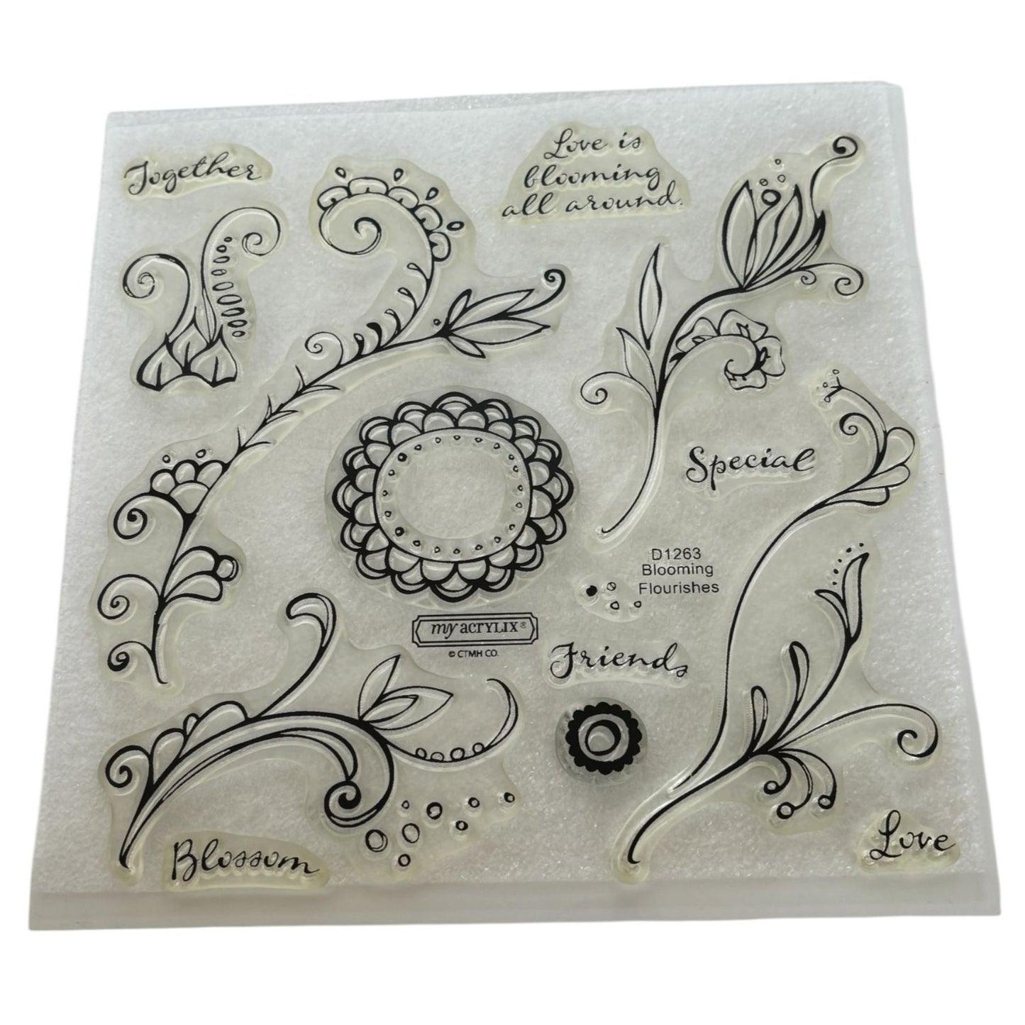 CTMH My Acrylix Acrylic Stamp Set Love is Blooming Flourishes Special Friends