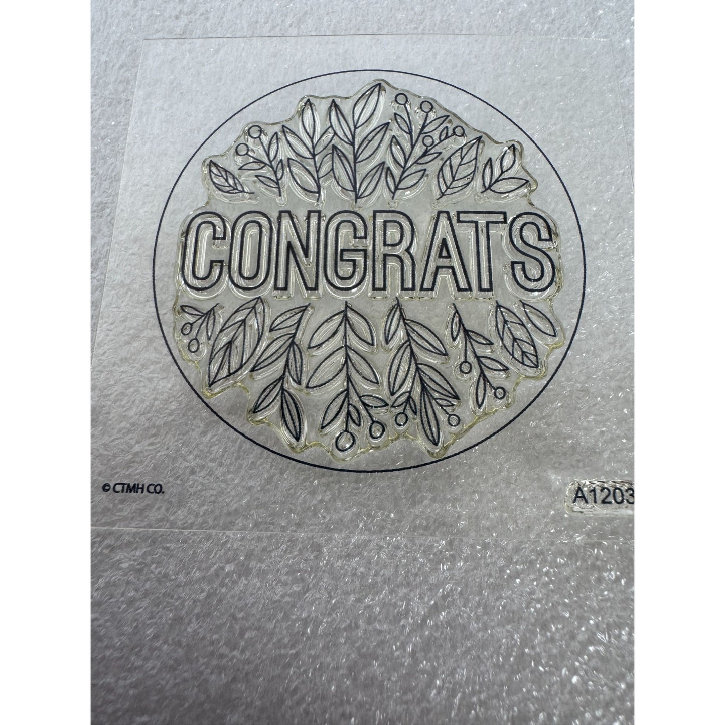 CTMH My Acrylix Acrylic Stamp Leafy Congrats Sentiments A1203 Congratulations