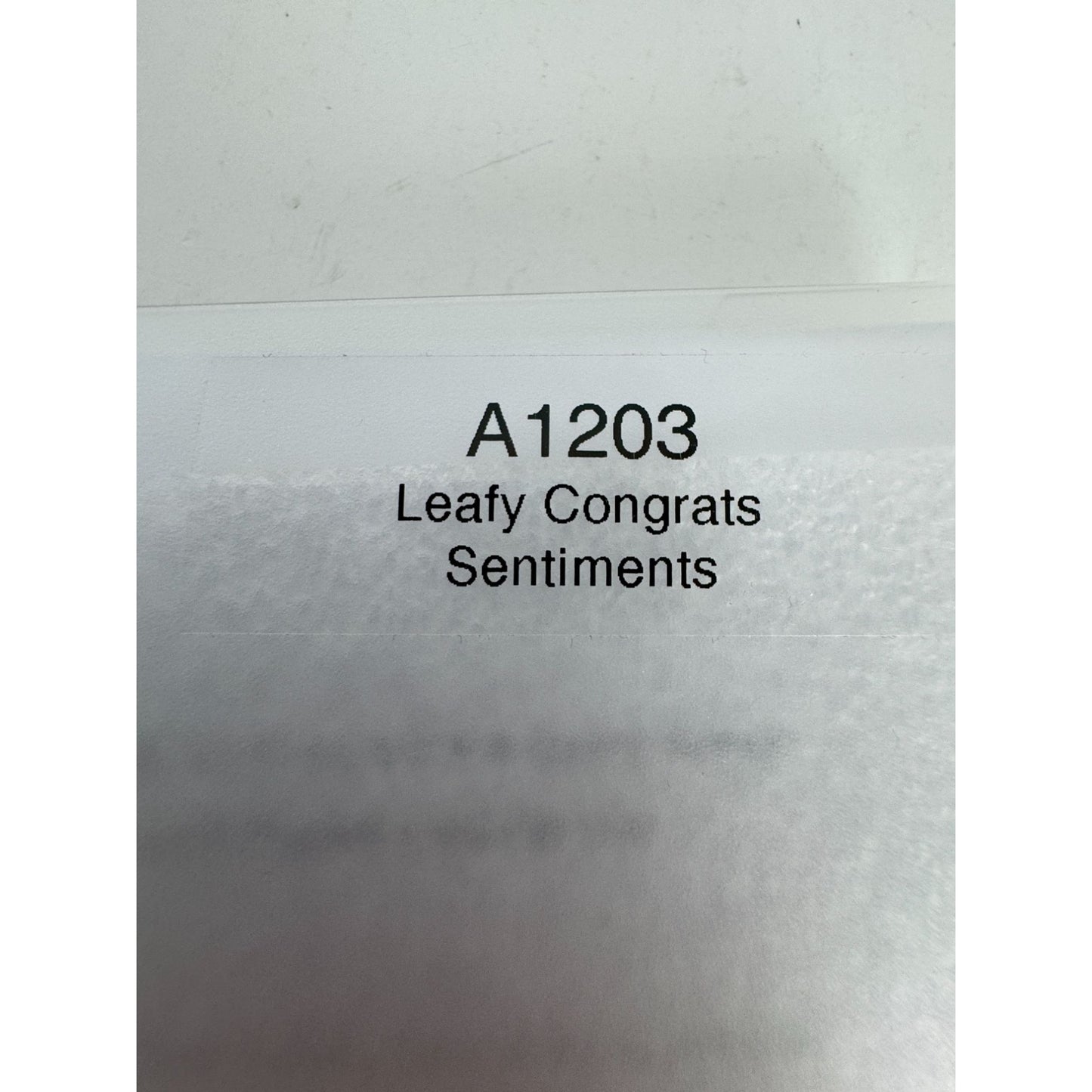 CTMH My Acrylix Acrylic Stamp Leafy Congrats Sentiments A1203 Congratulations