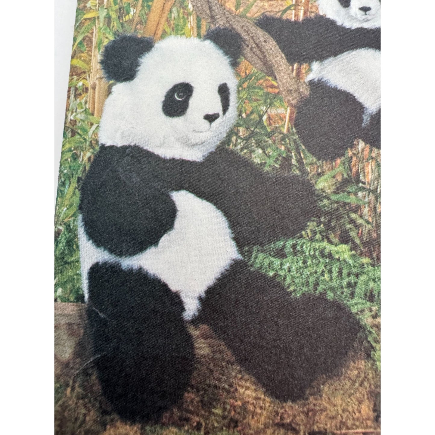 Vogue Craft Sewing Pattern 8187 Panda Bear Plush Toy Stuffed Animal Uncut