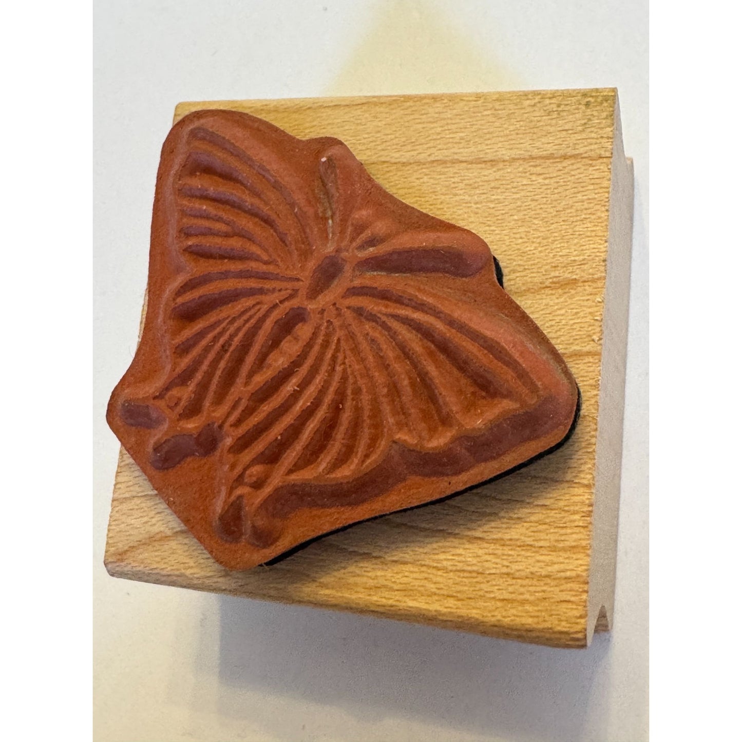 Butterfly Rubber Stamp Brenda Walton All Night Media Garden Spring Nature