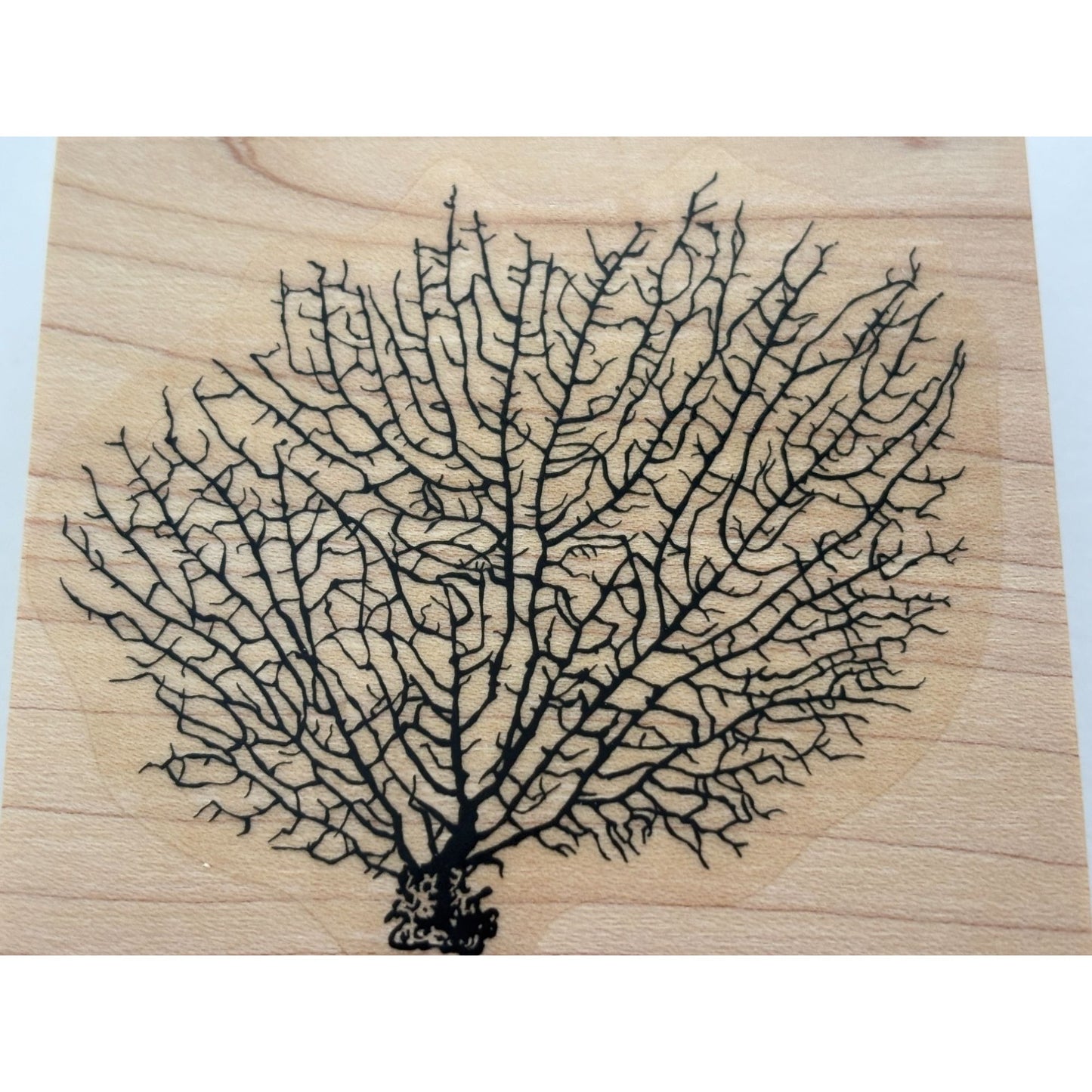 Stampin Up Rubber Stamp Seaweed Coral Ocean Sea Life Background Card Making Art