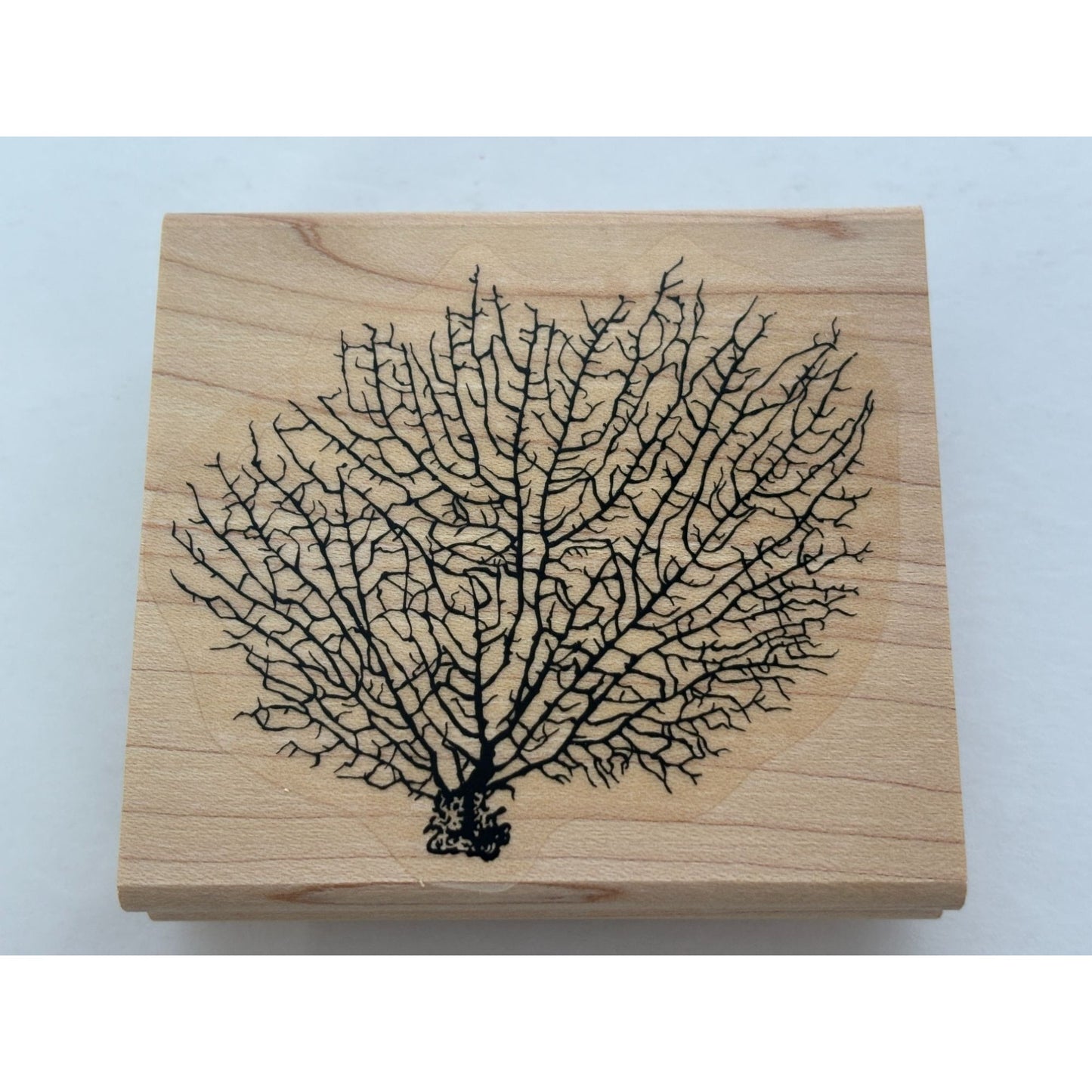 Stampin Up Rubber Stamp Seaweed Coral Ocean Sea Life Background Card Making Art