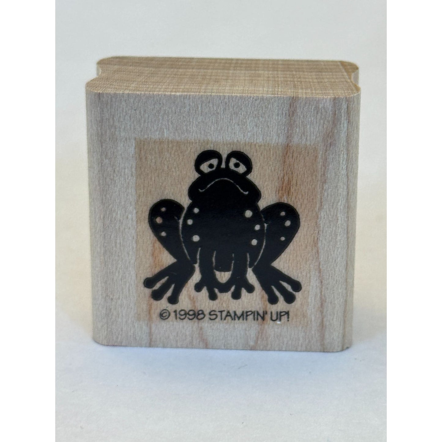 Stampin Up Rubber Stamp Frog Toad Unhappy Face Animal Scrapbooking Card Making