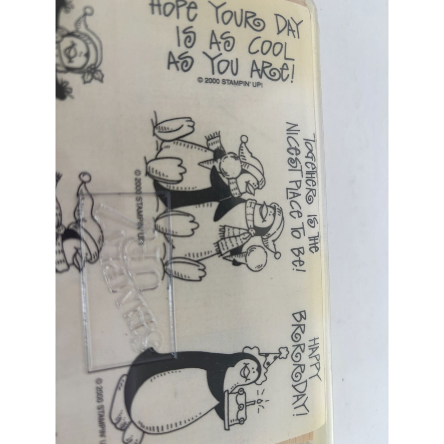 Stampin Up Rubber Stamp Set Penguin Pleasantries Funny Birthday Card Making Pun