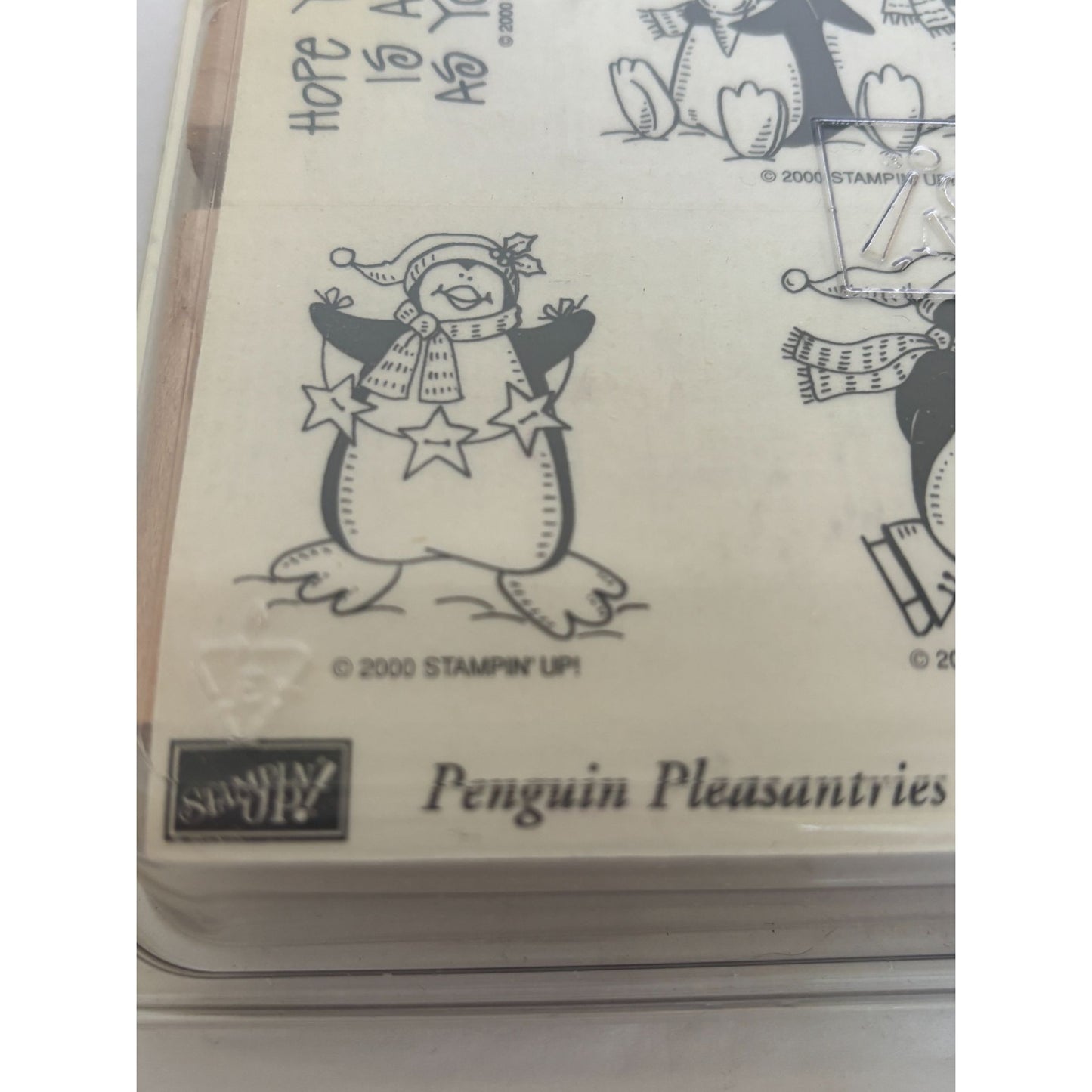 Stampin Up Rubber Stamp Set Penguin Pleasantries Funny Birthday Card Making Pun