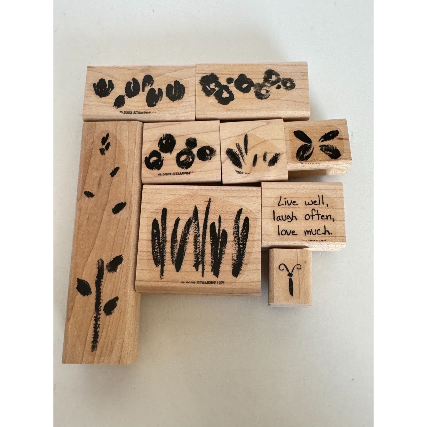 Stampin Up Rubber Stamps Set Spring Garden Two Step Butterfly Watercolor Flowers
