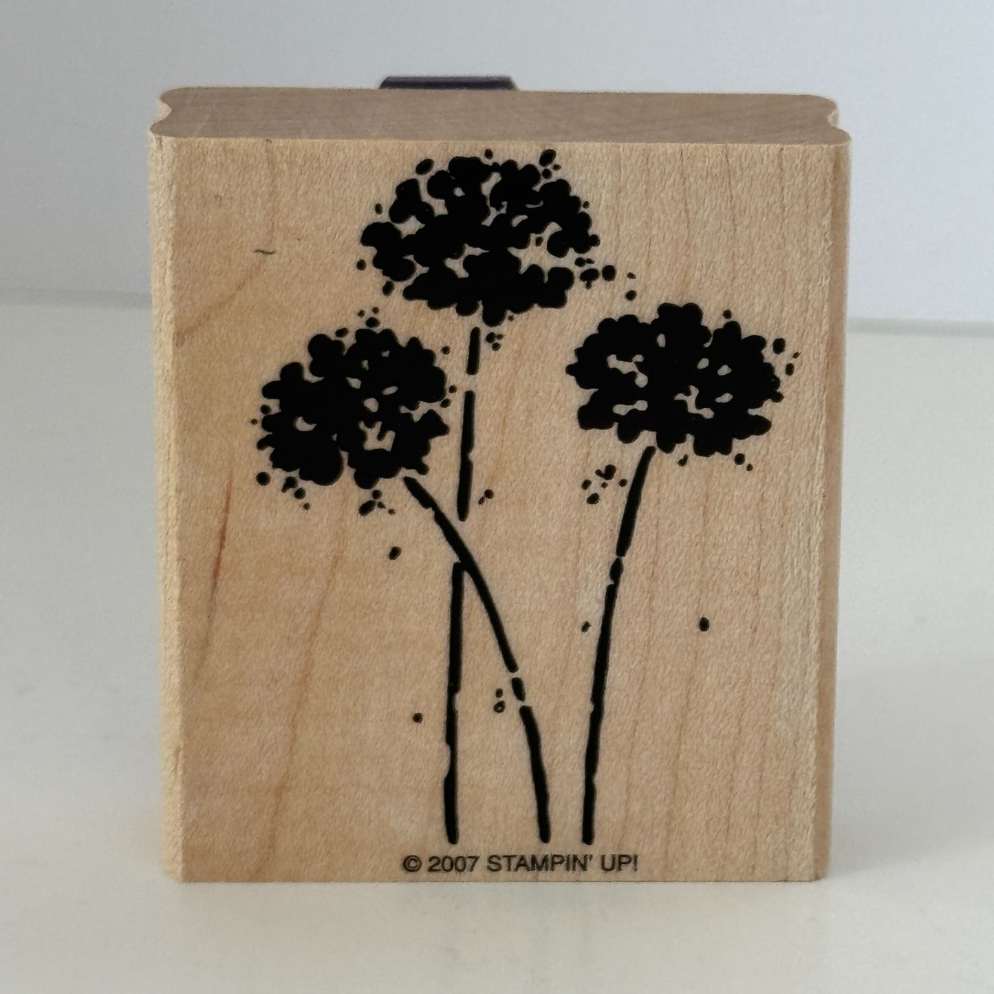 Stampin Up Rubber Stamp Flowers Floral Silhouette Garden Scrapbooking Cardmaking