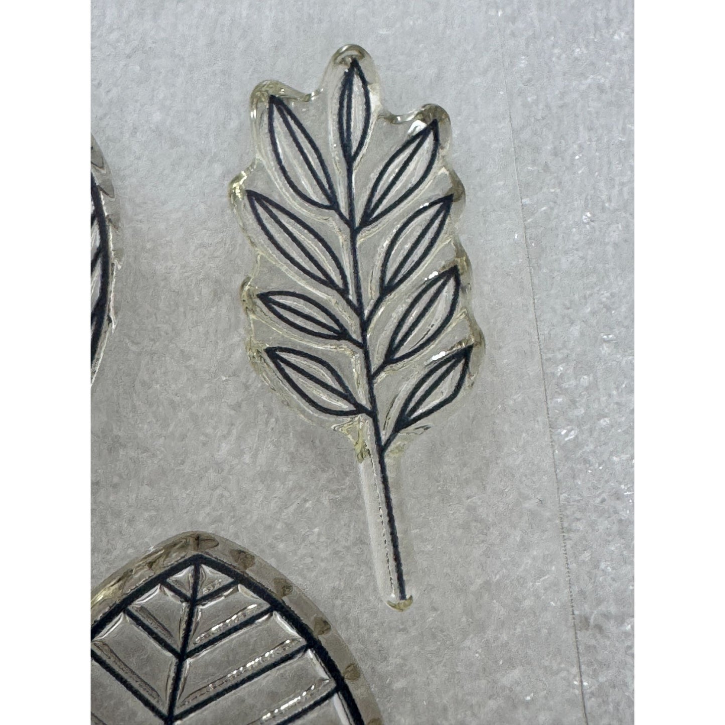 CTMH My Acrylix Acrylic Stamp Set Lovely Leaves Seasons Nature Fall Elm A1195