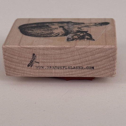 Dragonfly Laser Rubber Stamp Sleepy Cat Sleeping Pet Animal Journal Craft Cardmaking