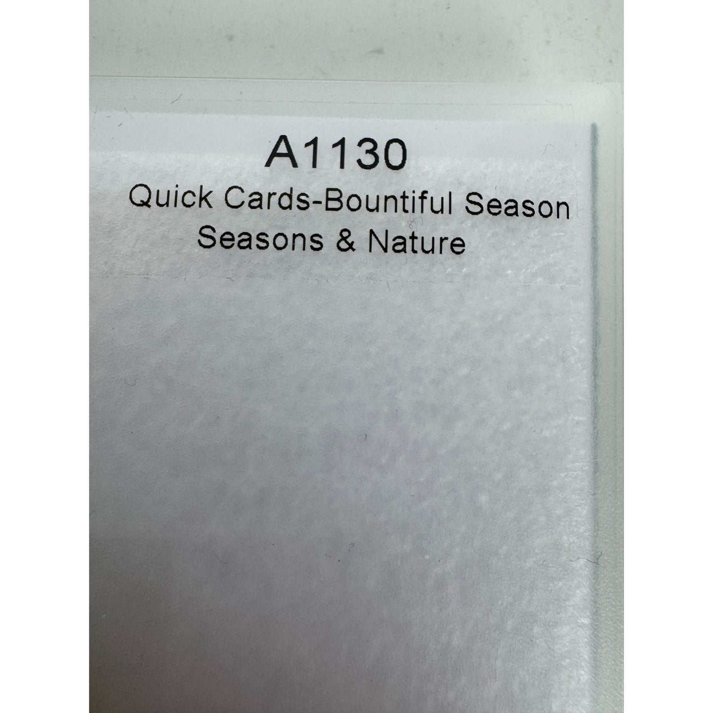 CTMH My Acrylix Acrylic Stamp Bountiful Season Seasons Nature Fall Leaf A1130