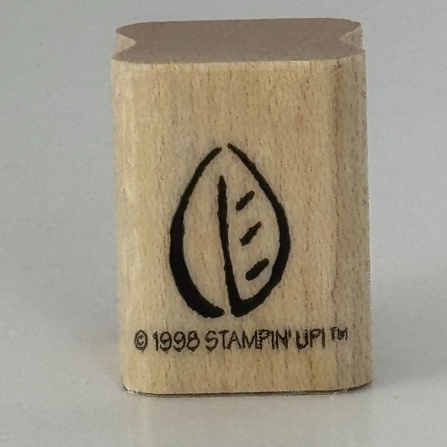 Stampin Up Rubber Stamp Leaf Nature Outdoors Fall Card Making Craft Wood Mounted