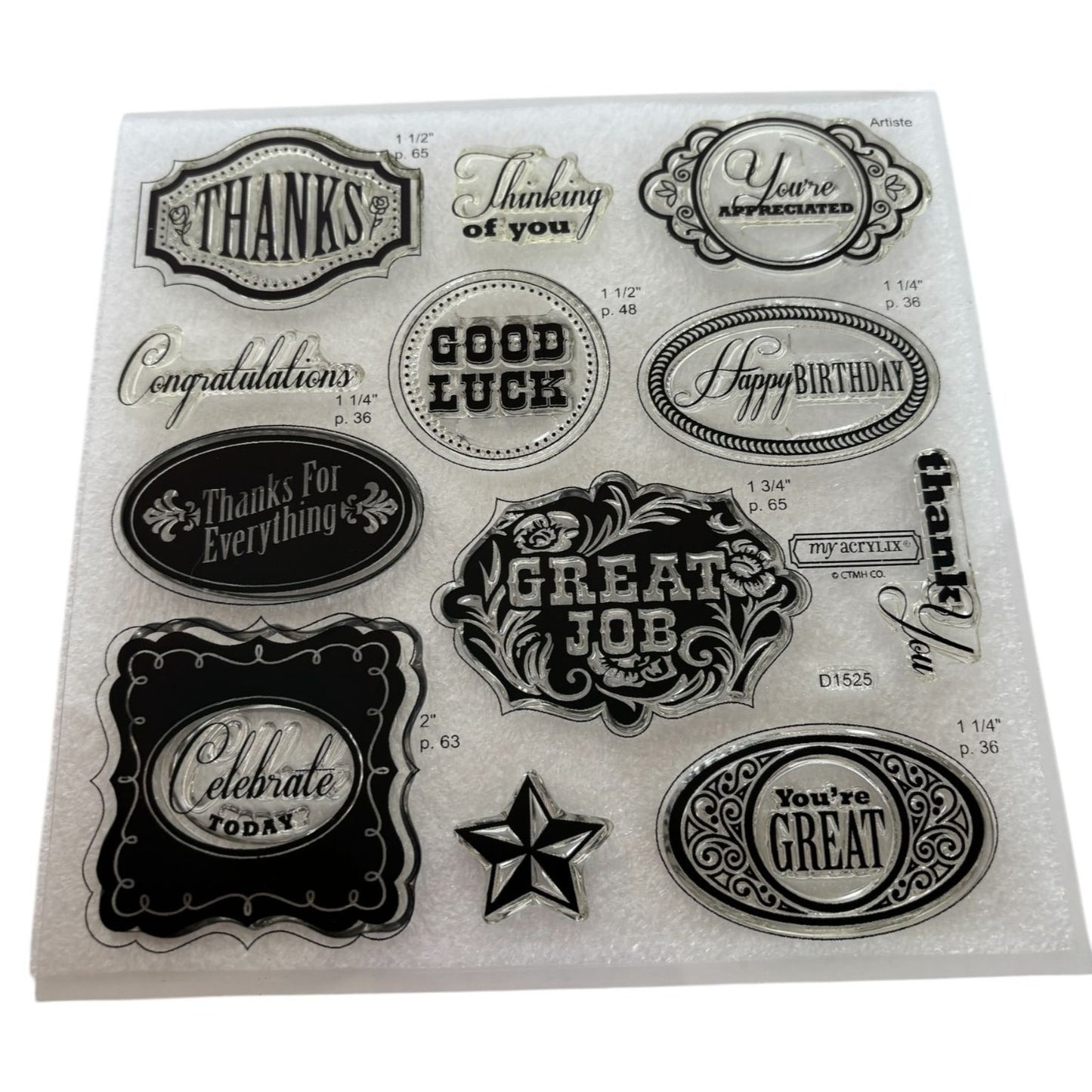 CTMH My Acrylix Acrylic Stamp Set Casual Expressions Occassions Birthday Thanks