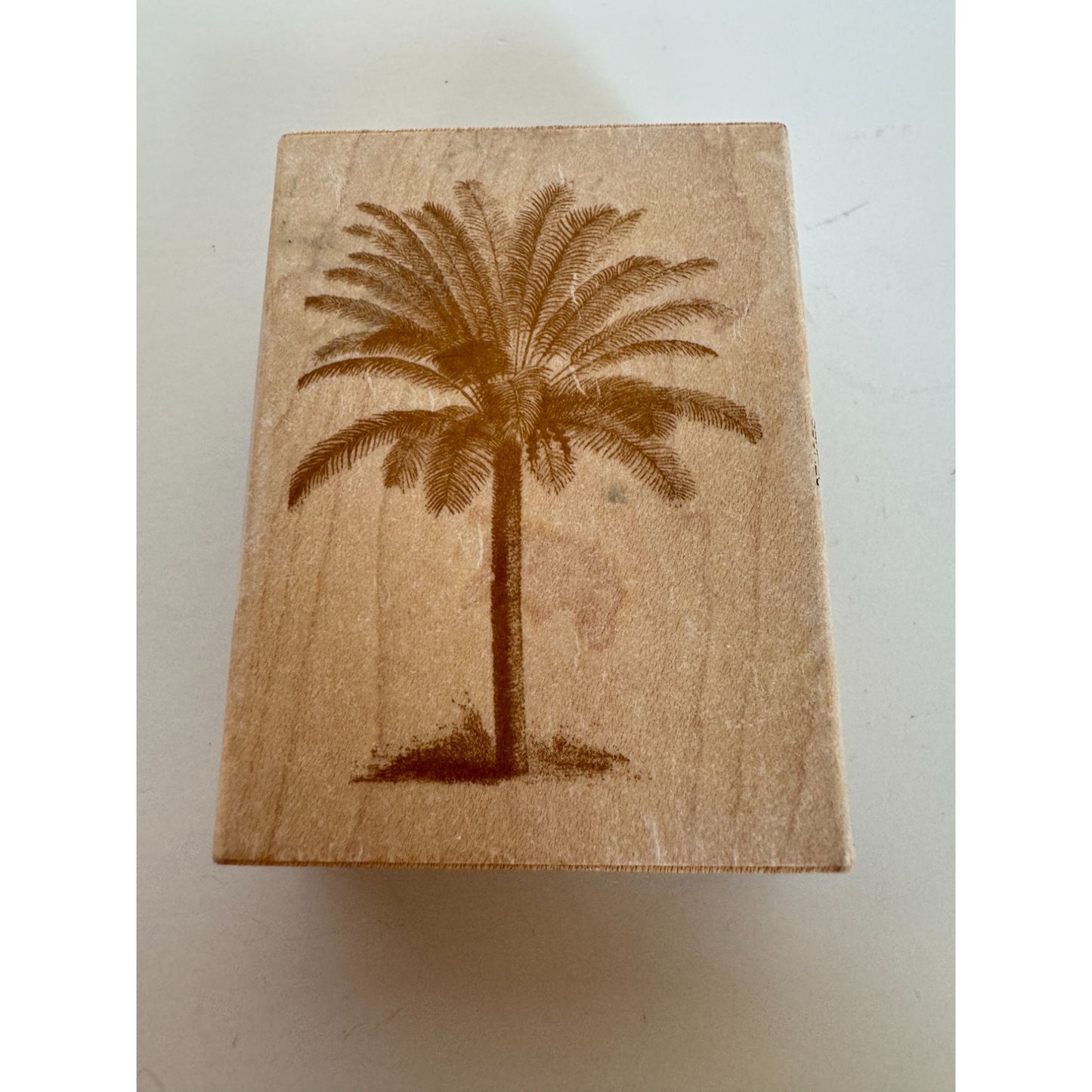 Anna Griffin Rubber Stamp Date Palm Tree Beach Vacation Relaxation Card Making