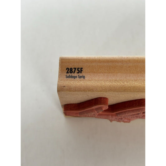 Rubber Stampede Rubber Stamp Solidago Sprig Vertical Plant Flowers Spring Garden