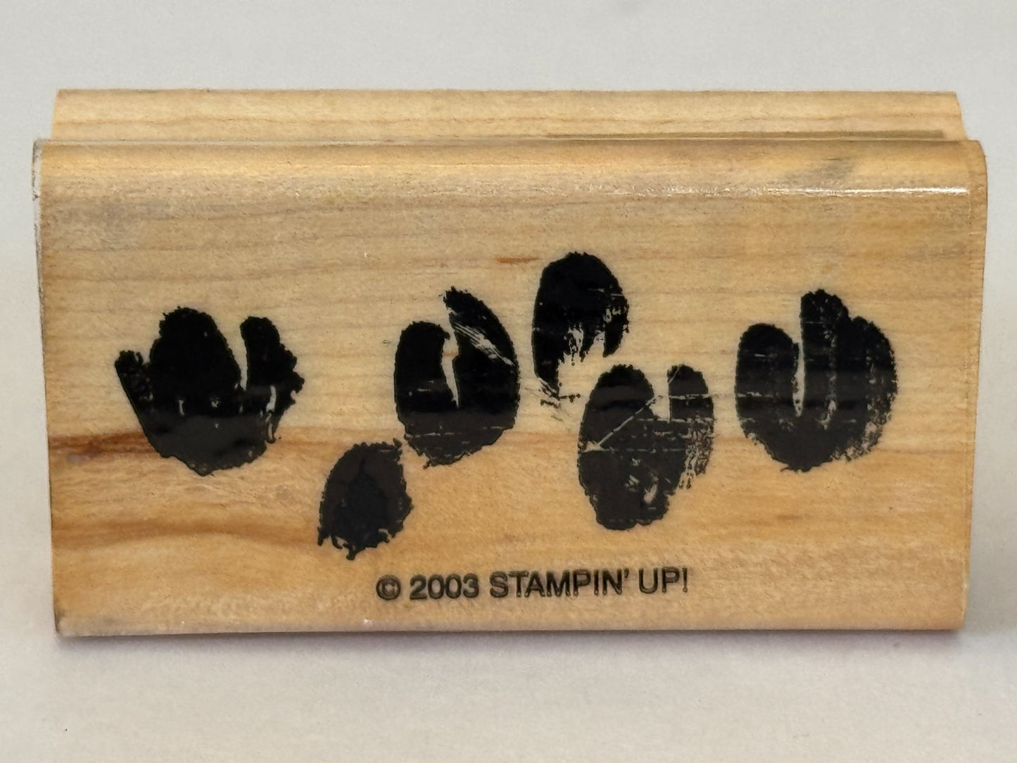Stampin Up Rubber Stamp Watercolor Flowers Floral Spring Crafts Card Making Wood